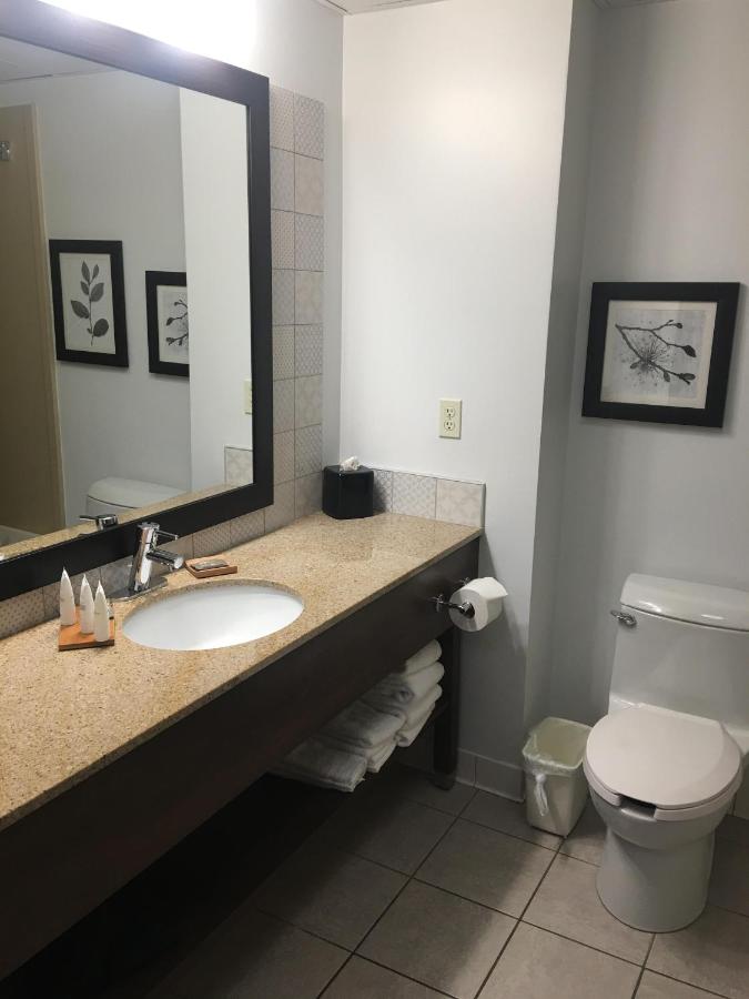 One-Bedroom Suite with Two Queen Beds and Sofa Bed - Non-Smoking at Country Inn & Suites by Radisson, Grand Rapids East, MI