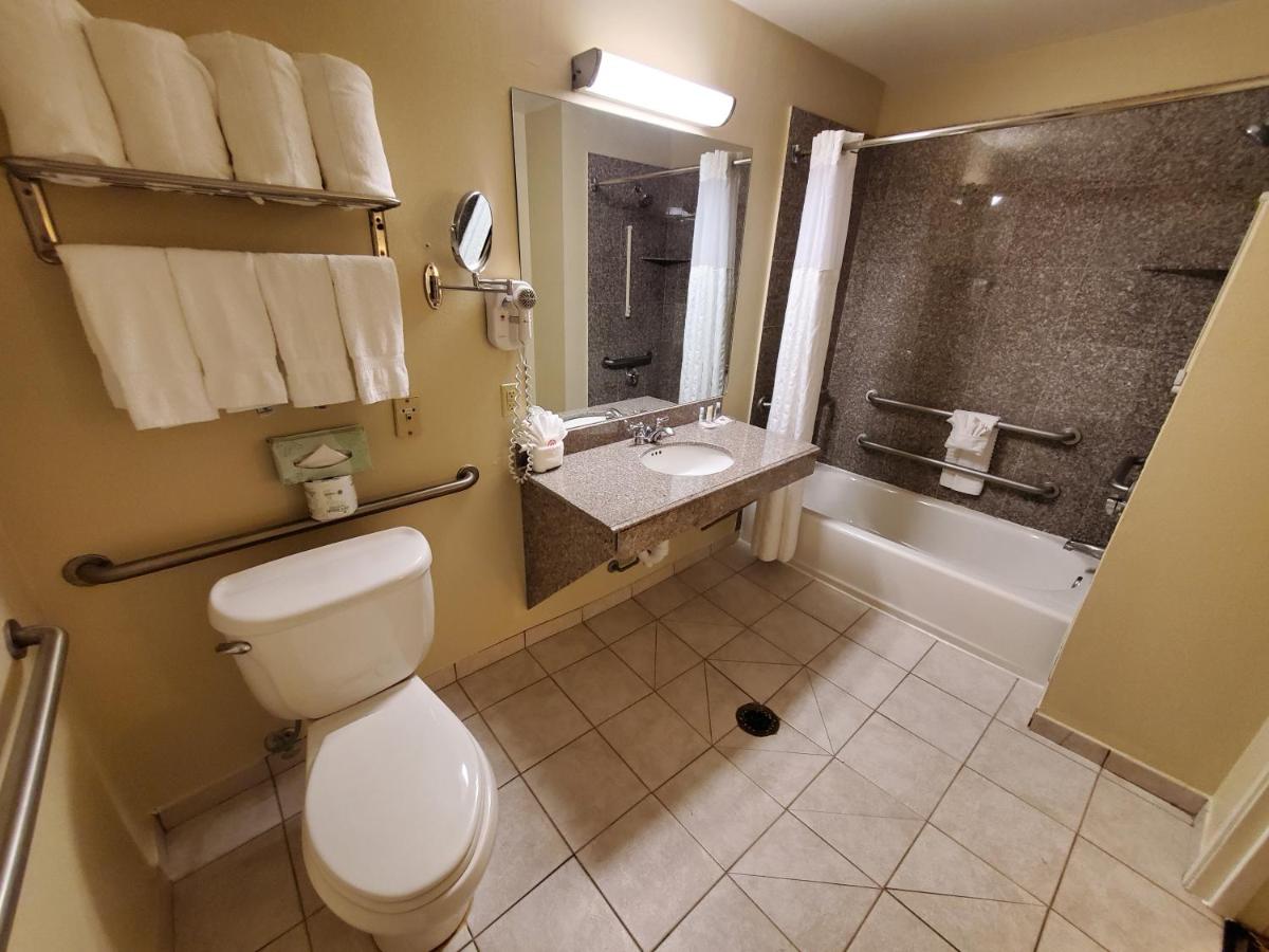 Queen Room - Non-Smoking at Comfort Suites Houston near Medical Center- NRG Stadium