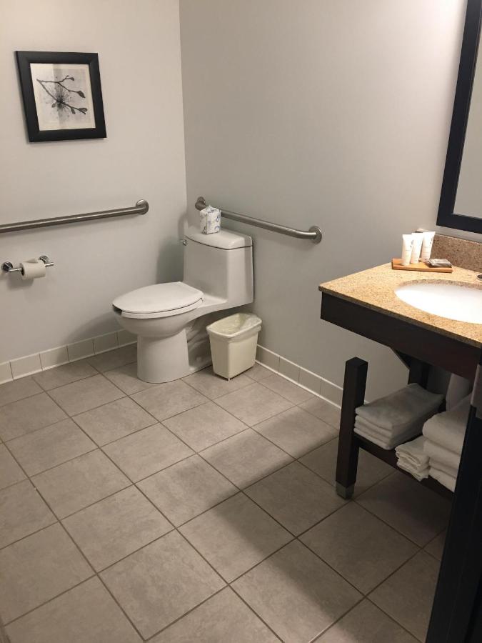 One-Bedroom King Suite - Disability Access at Country Inn & Suites by Radisson, Grand Rapids East, MI