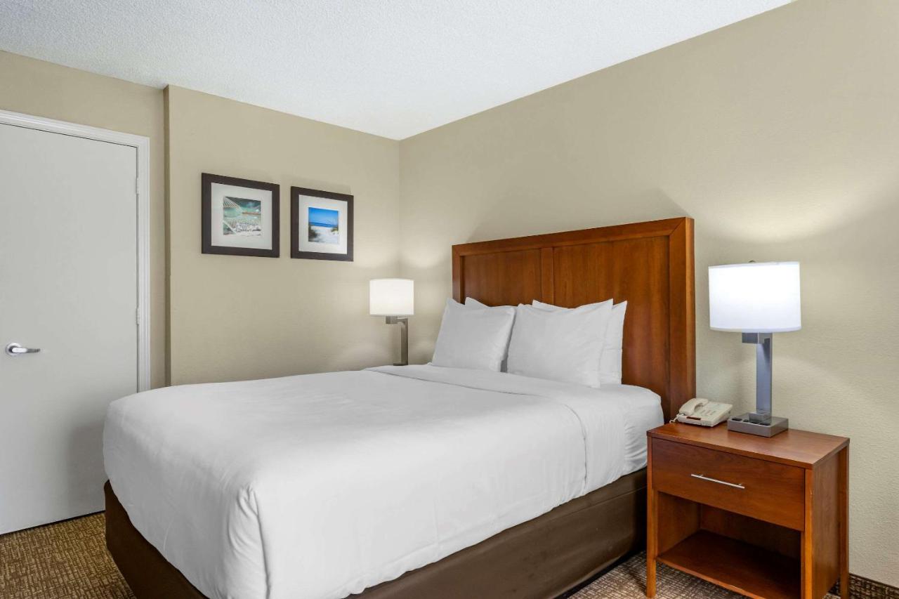 Queen Room - Accessible/Non-Smoking at Comfort Inn & Suites St. Pete - Clearwater International Airport