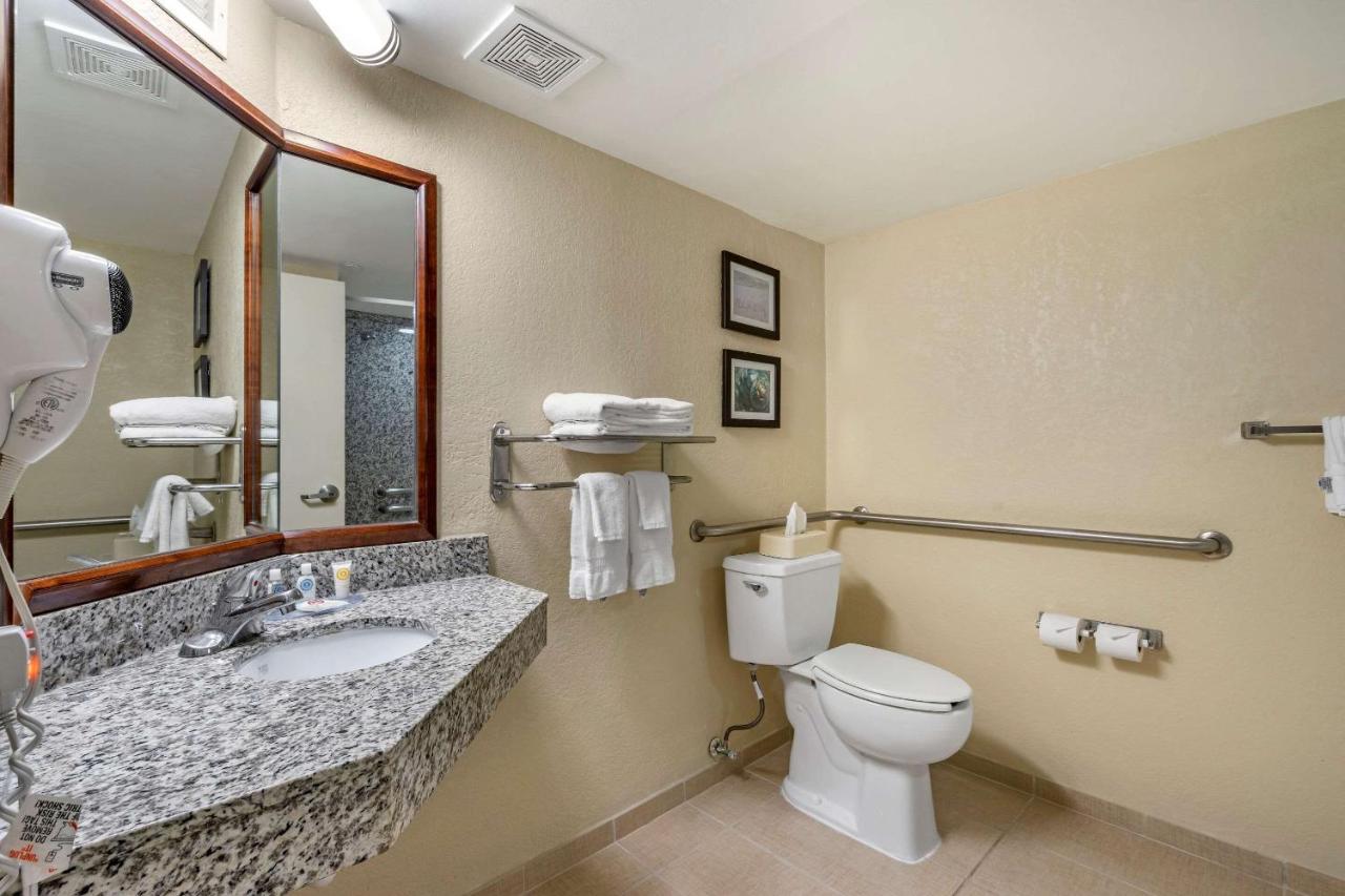 Queen Room - Accessible/Non-Smoking at Comfort Inn & Suites St. Pete - Clearwater International Airport