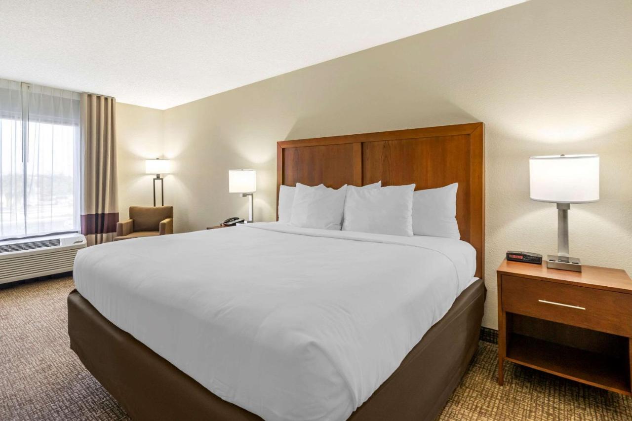 King Room - Non-Smoking at Comfort Inn & Suites St. Pete - Clearwater International Airport
