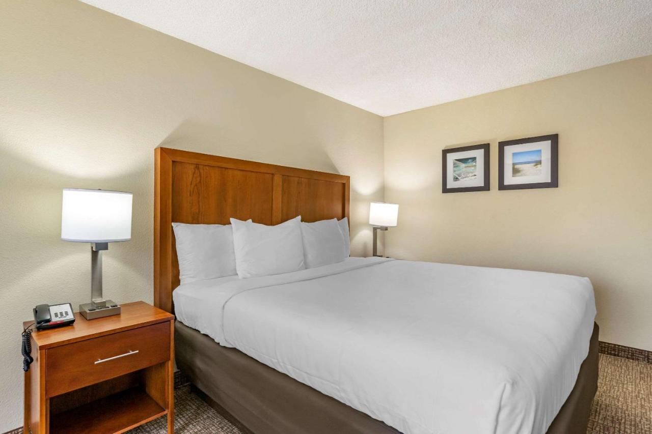 King Room - Non-Smoking at Comfort Inn & Suites St. Pete - Clearwater International Airport