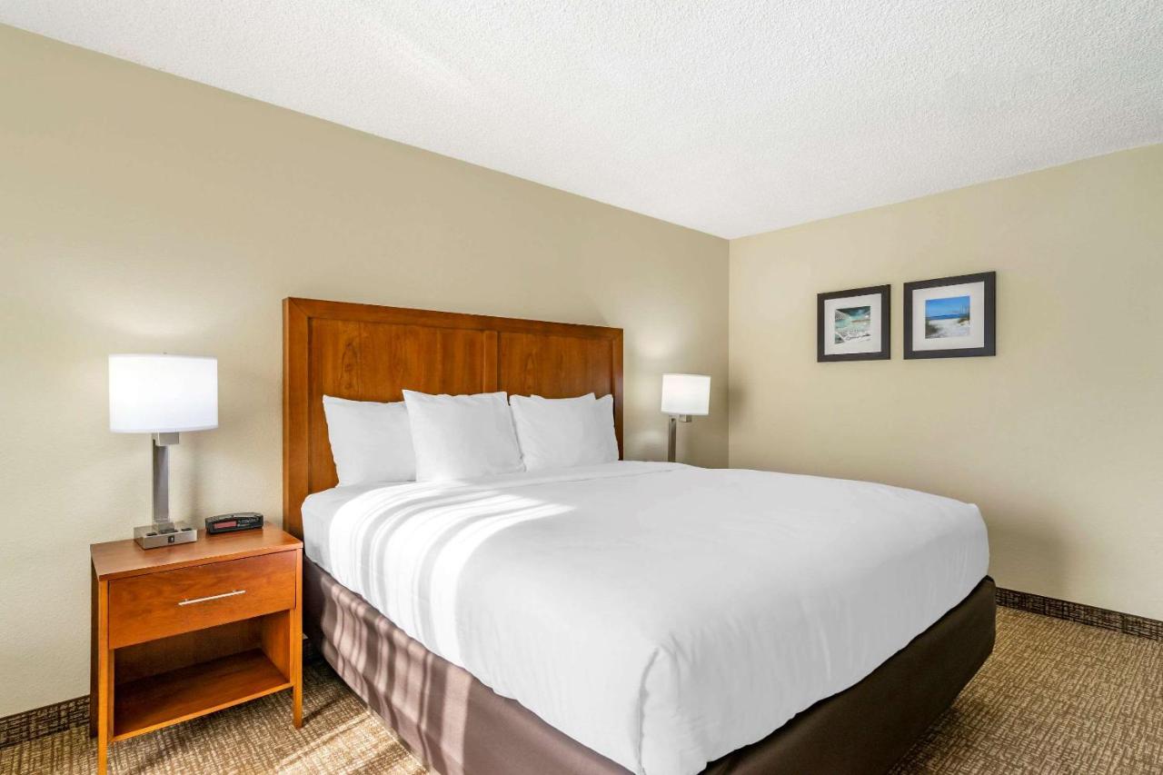 One-Bedroom King Suite with Sofa Bed - Non-Smoking at Comfort Inn & Suites St. Pete - Clearwater International Airport
