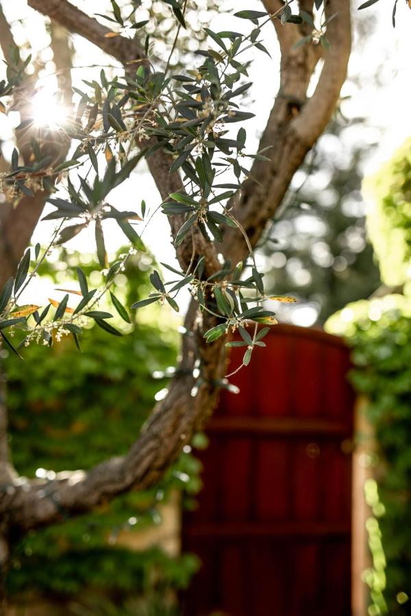  | Seven Branches Venue and Inn