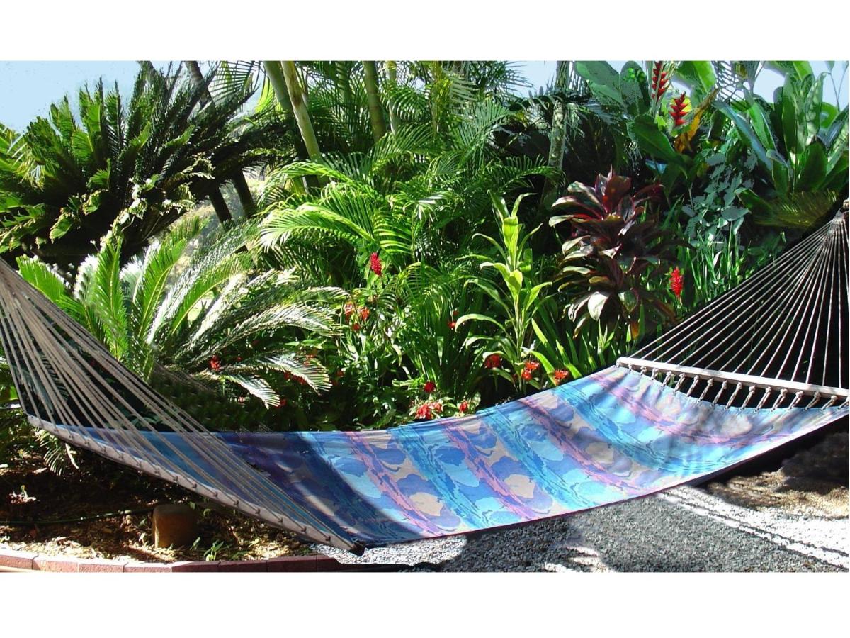 | Adventure in Paradise