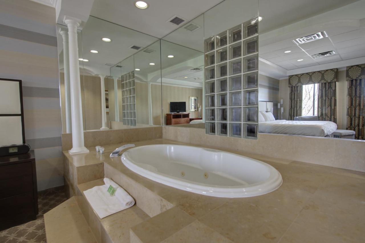 One-Bedroom King Suite with Jetted Tub at Holiday Inn Plainview-Long Island by IHG