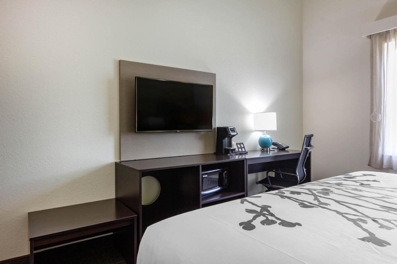 King Room - Accessible/Non-Smoking at Sleep Inn & Suites Tampa South