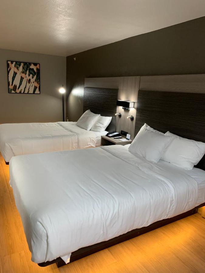 Standard Queen Room with Two Queen Beds - Non-Smoking at Quality Inn & Suites North Mesquite I-30