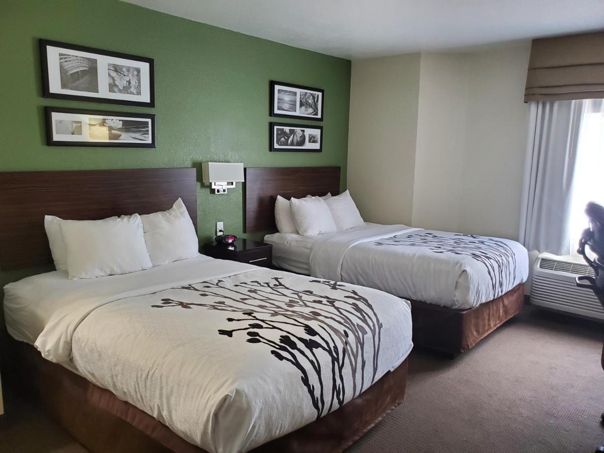 Deluxe Double Room (1 adult + 2 children) at Sleep Inn Horn Lake - Southaven