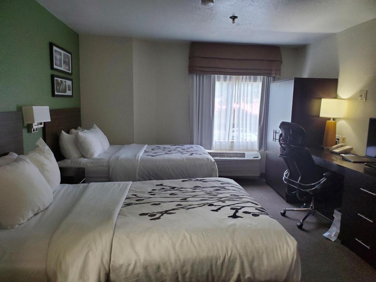Deluxe Double Room (1 adult + 2 children) at Sleep Inn Horn Lake - Southaven