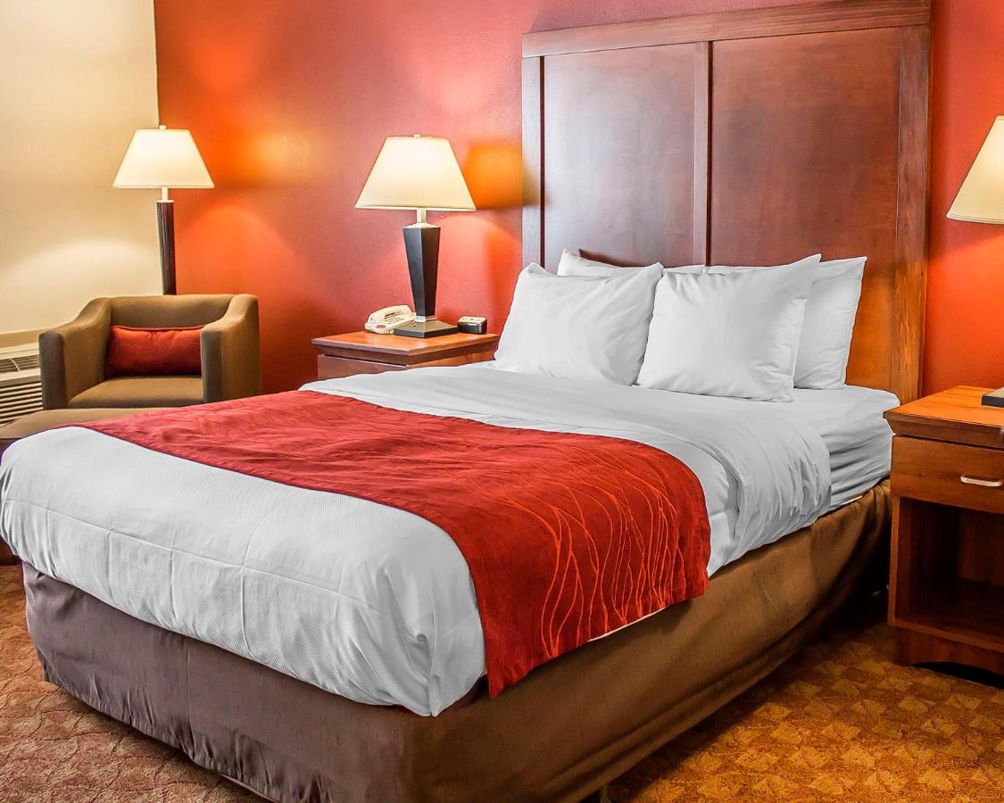 Queen Room - Accessible/Nonsmoking at Quality Inn Lima Northeast