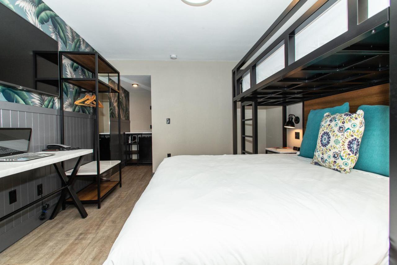 Single King at Magnolia Tree Hotel - Near Anaheim Convention Center