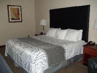 Room #73296235 at Best Western Park Oasis Inn