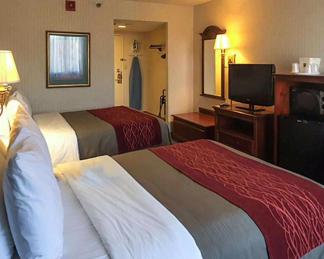Room #49221707 at Comfort Inn - Springfield