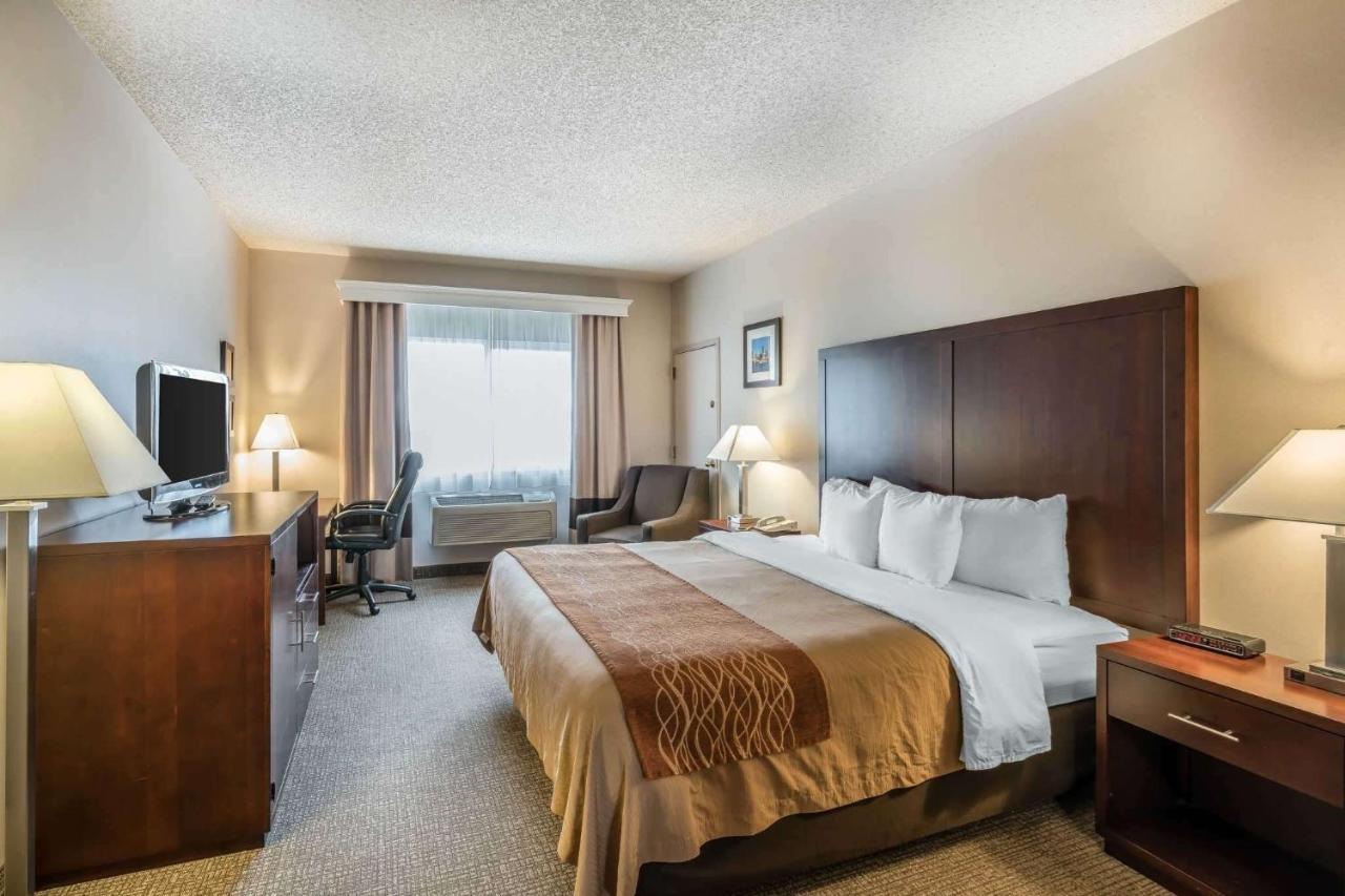 King Room at Comfort Inn & Suites Seattle North