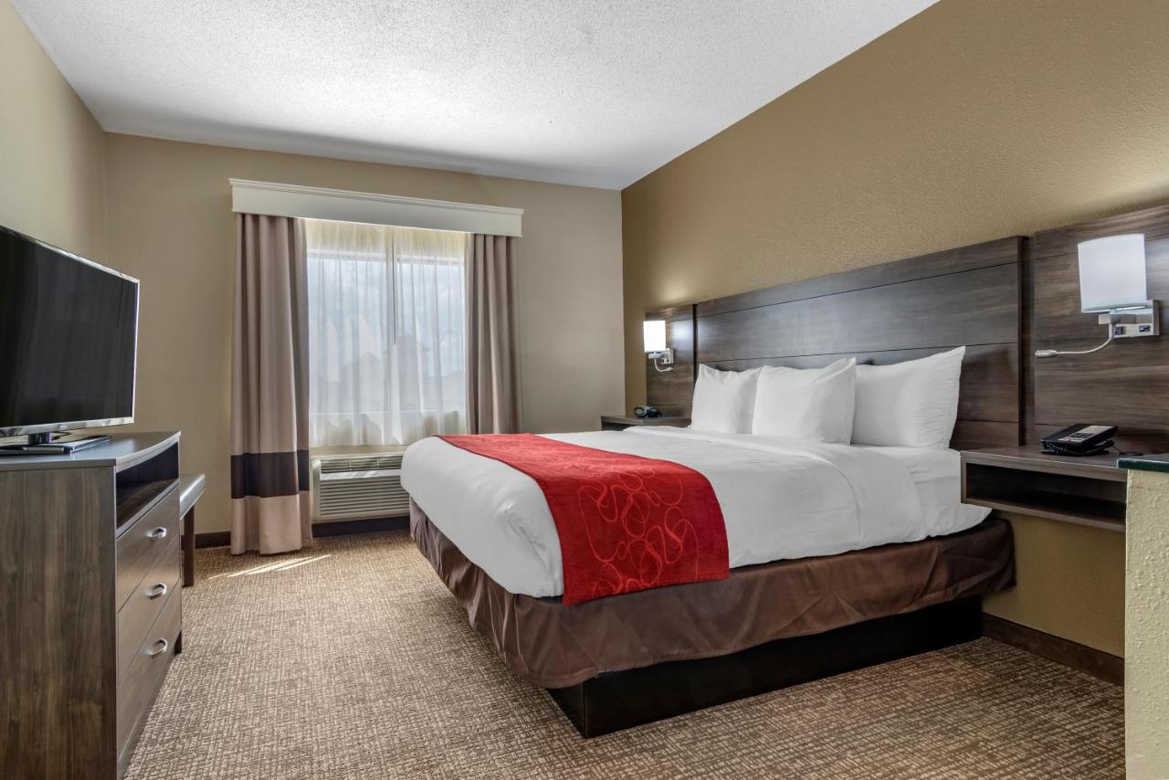 King Suite - Accessible/Non-Smoking at Comfort Suites near Robins Air Force Base