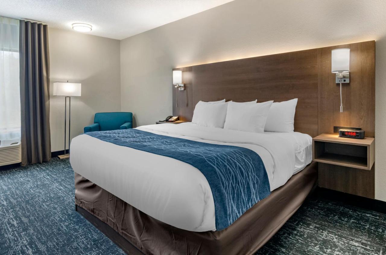 King Suite - Non-Smoking at Comfort Inn & Suites Troutville - Roanoke North / Daleville