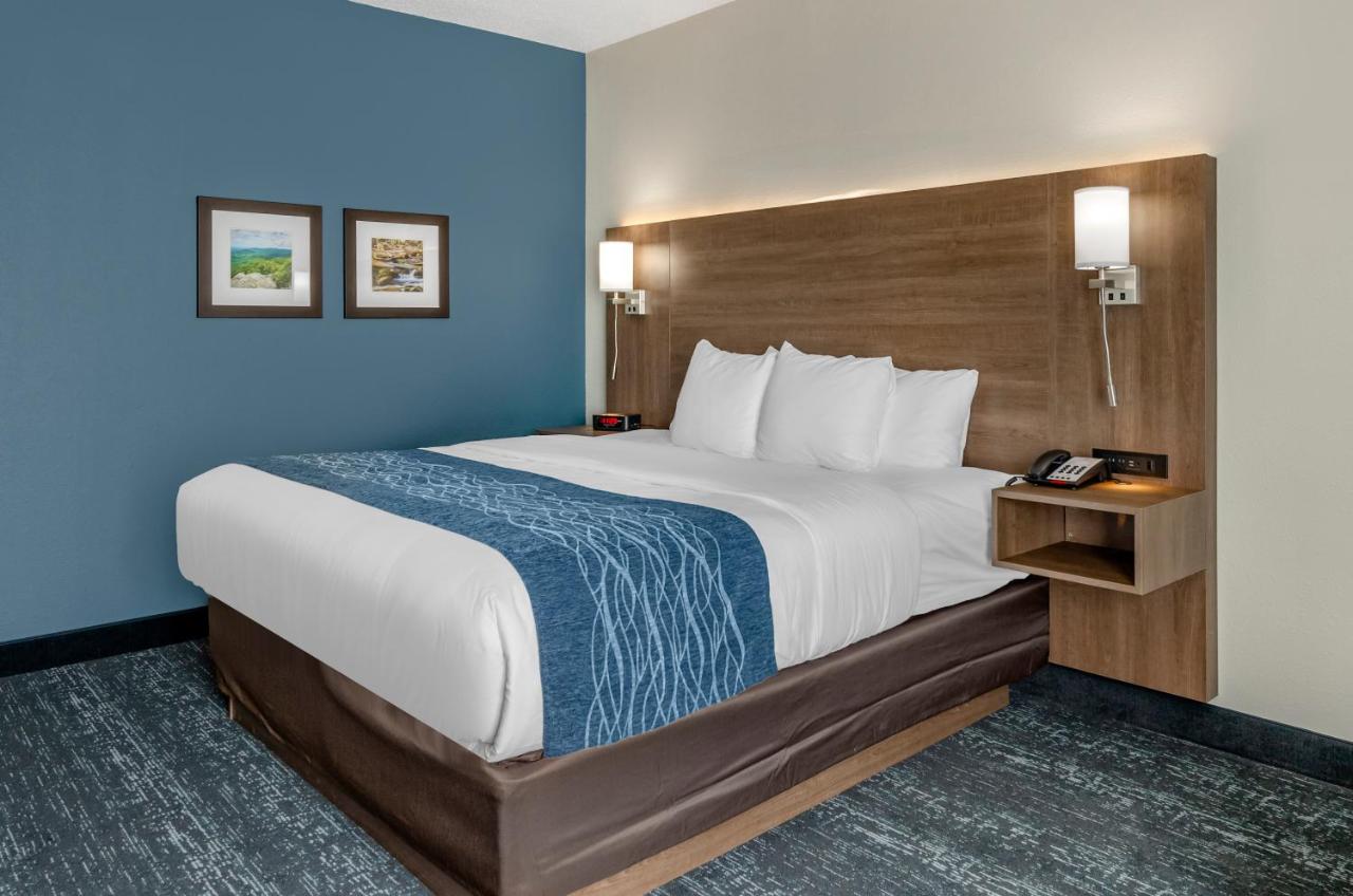 King Room - Accessible/Non-Smoking at Comfort Inn & Suites Troutville - Roanoke North / Daleville