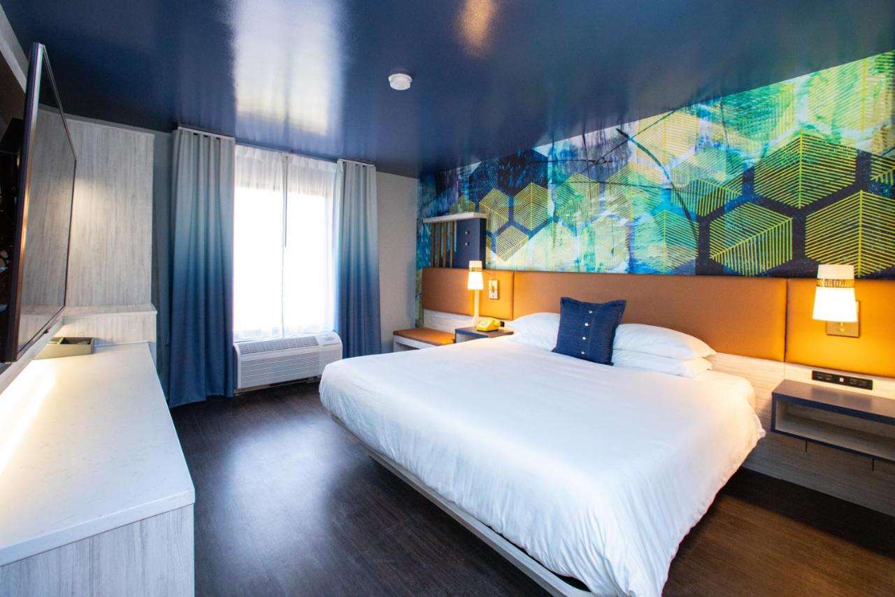 Corner King at Hotel Denim