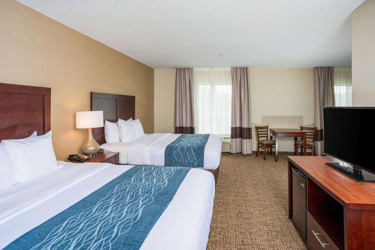 | Comfort Inn Naugatuck - Waterbury