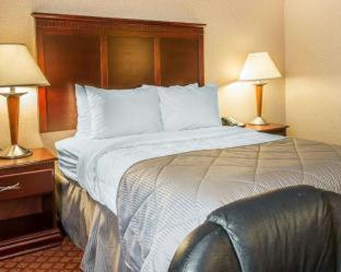 Room #5942720 at Clarion Inn and Suites Airport