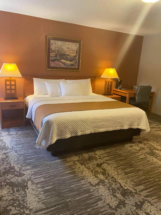 | I M Hotel by Timberlake