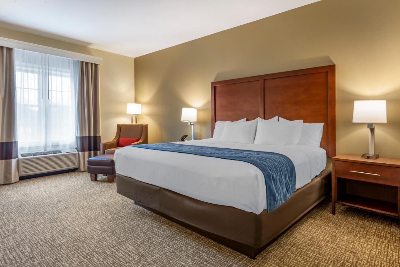 | Comfort Inn