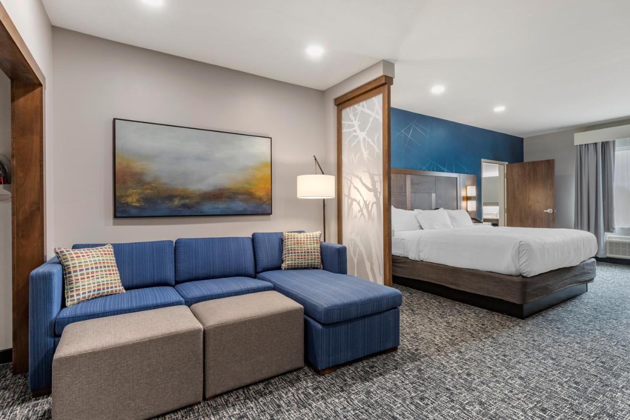 Executive King Suite - Non-Smoking at Comfort Suites Greenville Airport