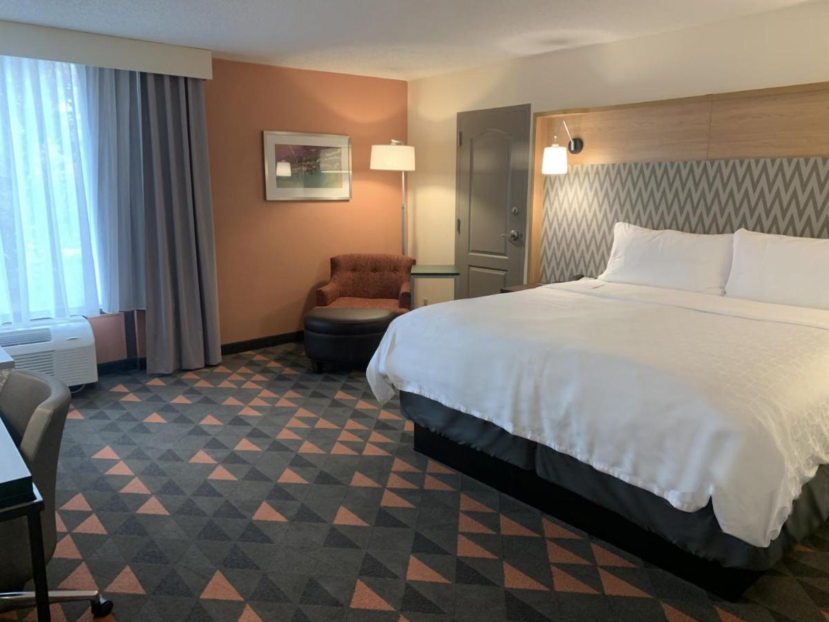 One-Bedroom King Suite with Spa Bath - Non Smoking at Holiday Inn Asheville Biltmore, an IHG Hotel