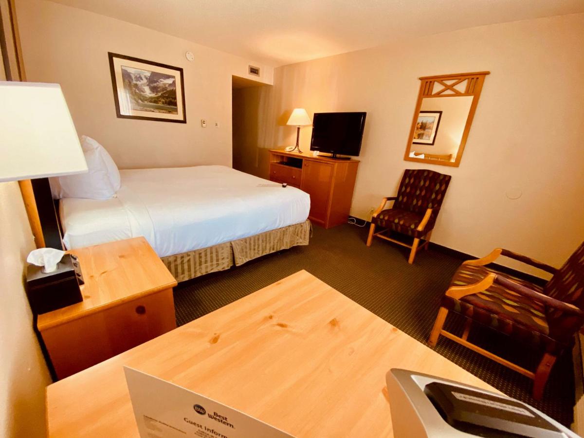 King Room - Pet Friendly at Best Western Sheridan Center