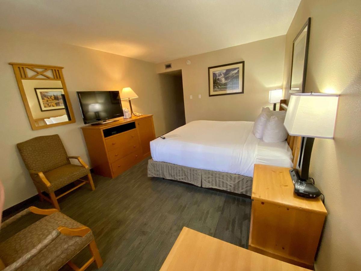 King Room - Pet Friendly at Best Western Sheridan Center