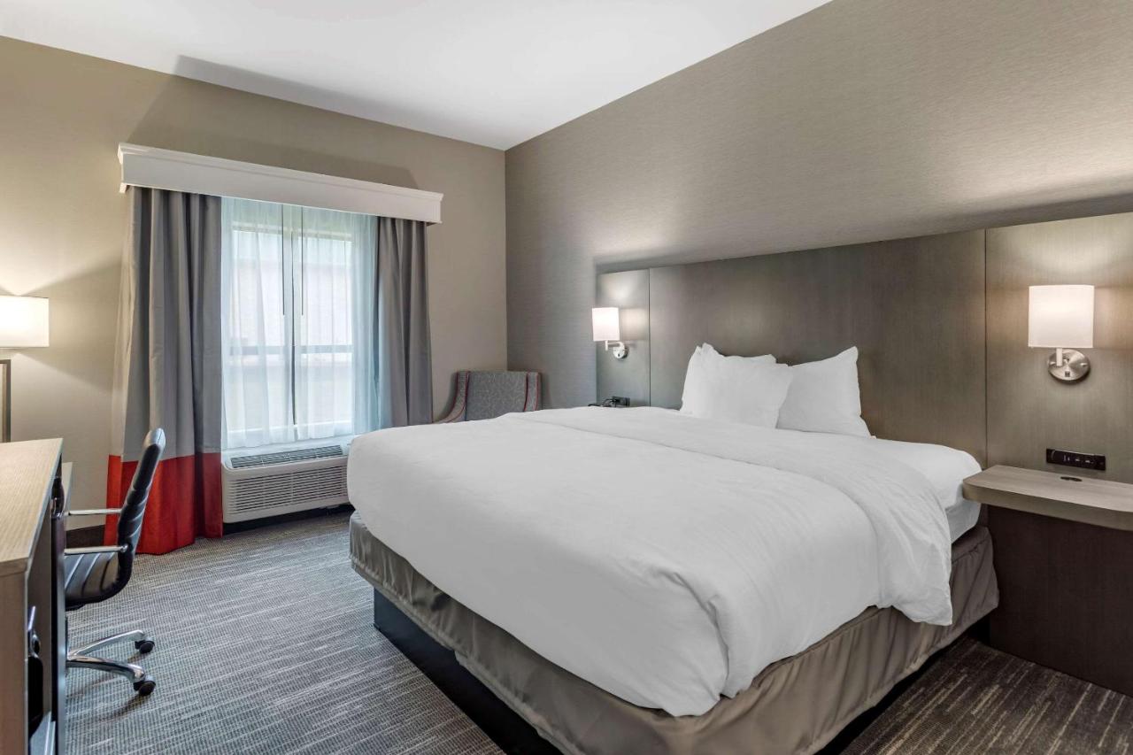 Standard King Room - Non-Smoking  at Comfort Inn & Suites Olive Branch Old Towne