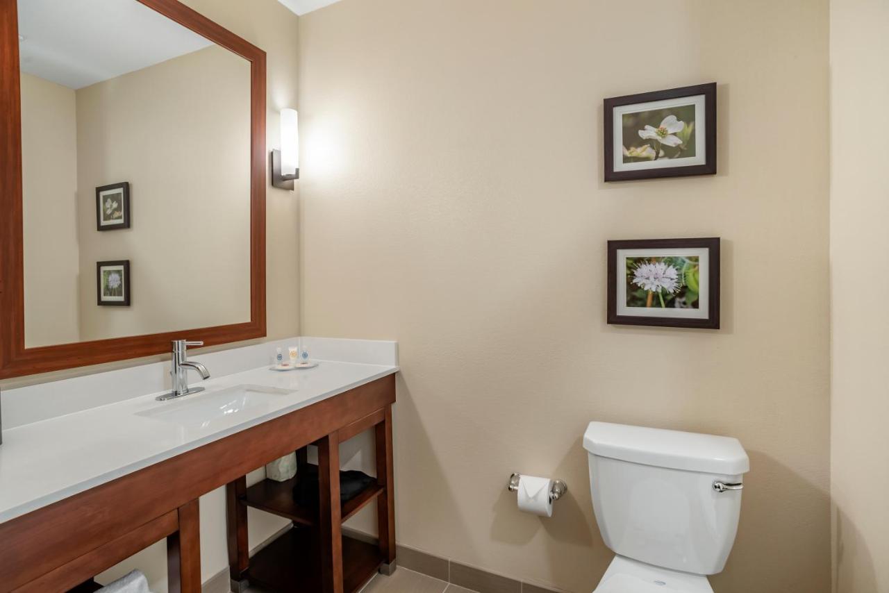 Standard King Room - Non-Smoking at Comfort Inn & Suites Winchester
