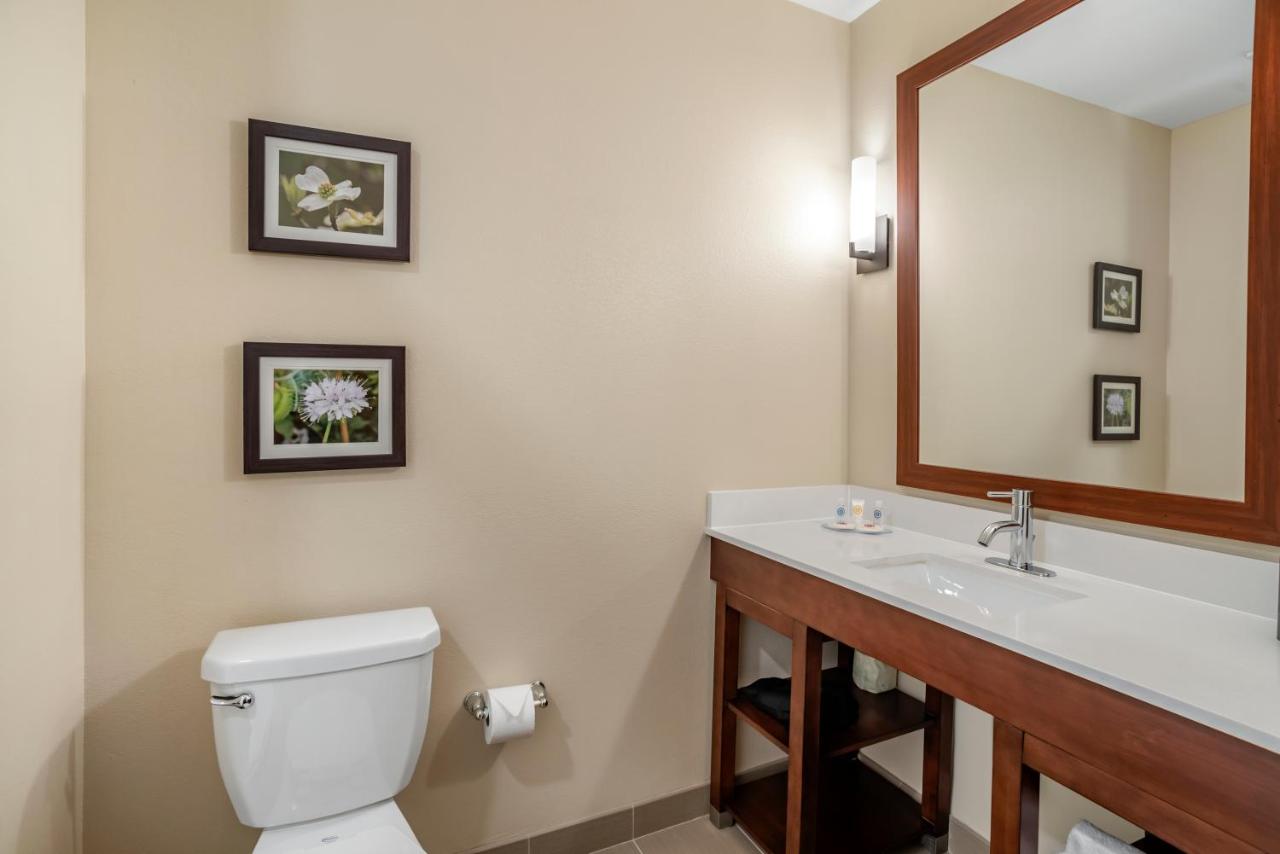 King Suite with Sofa Bed - Non-Smoking at Comfort Inn & Suites Winchester
