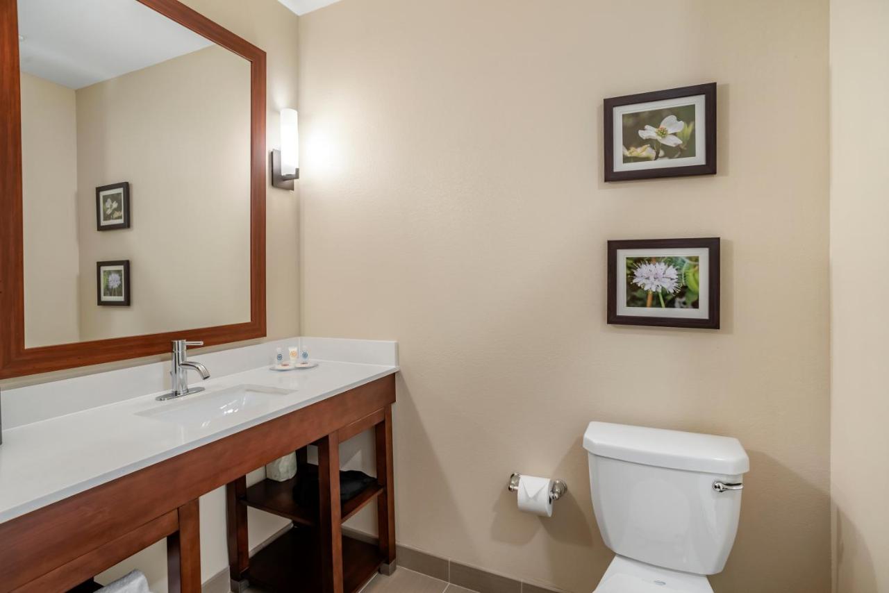 Standard Queen Room with Two Queen Beds - Non-Smoking at Comfort Inn & Suites Winchester
