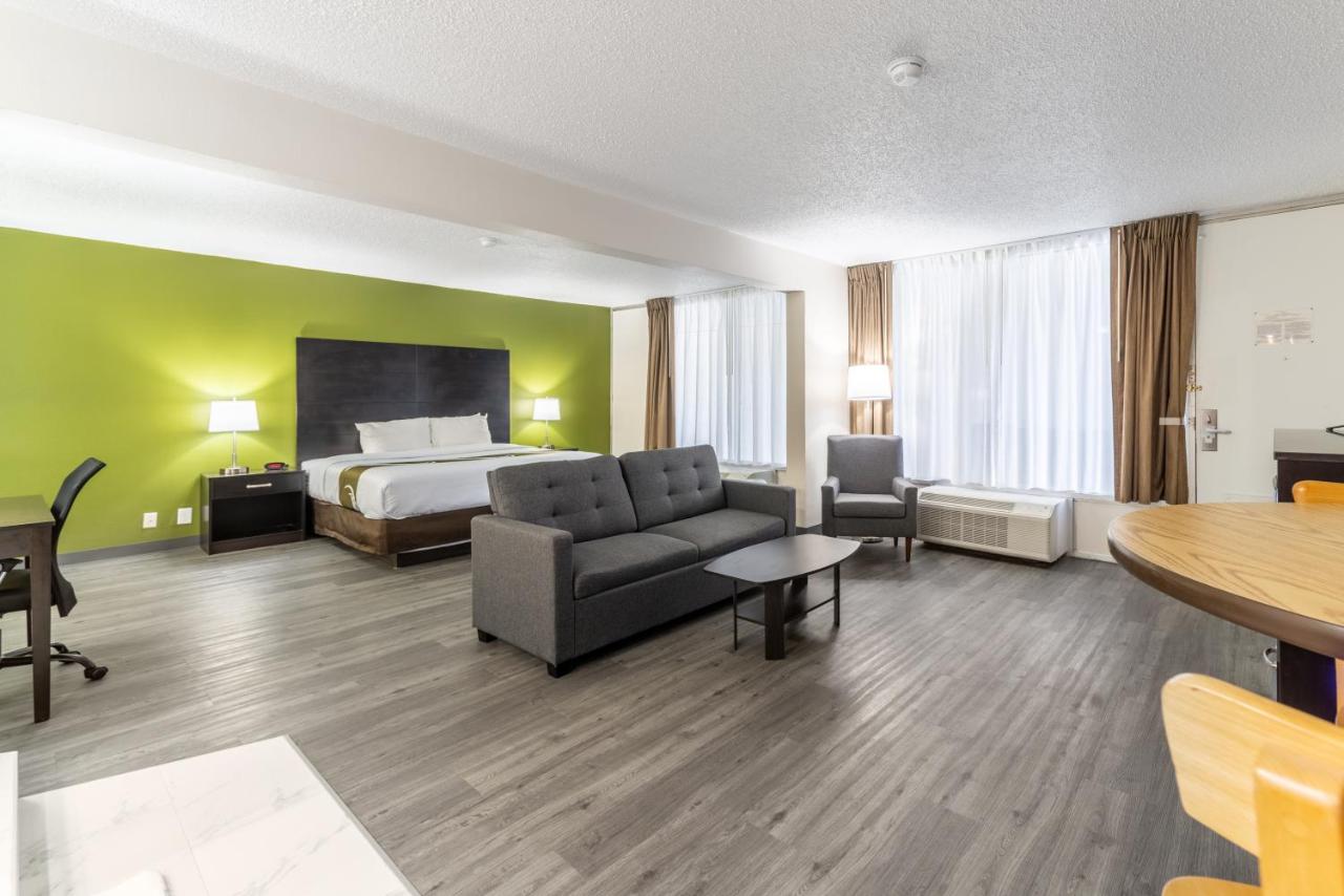 Efficiency King Suite - Non-Smoking at Quality Inn & Suites Vandalia near I-70 and Hwy 51