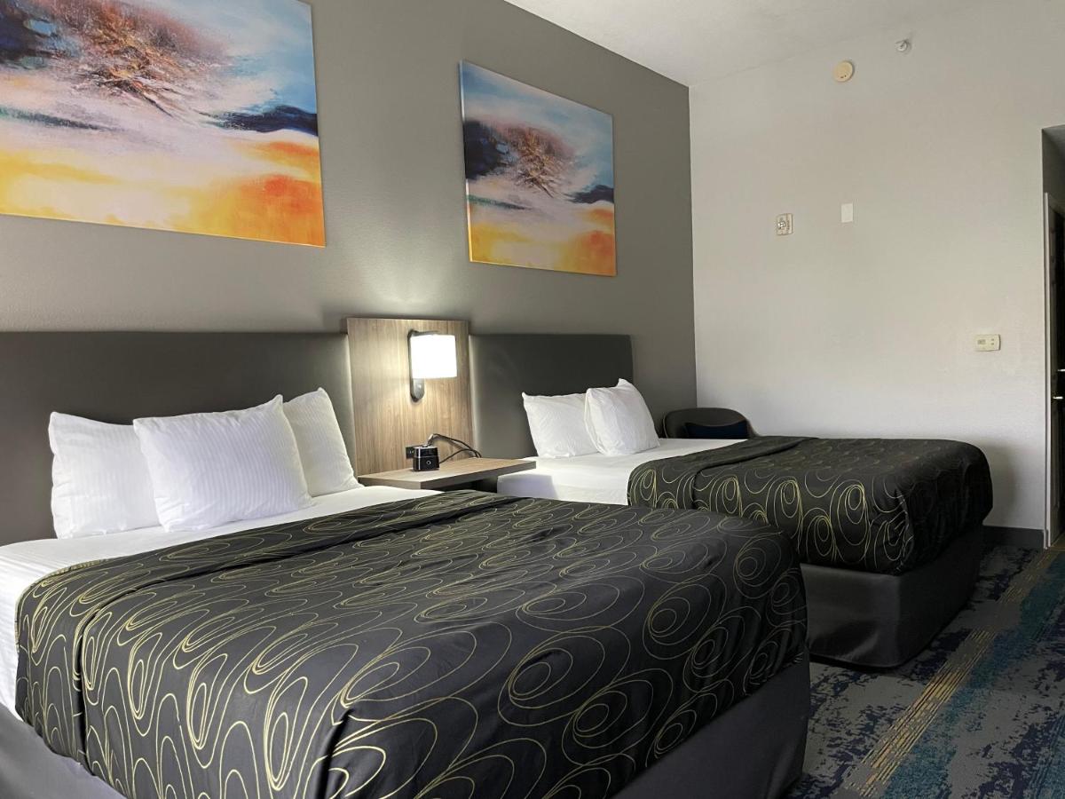 Queen Room with Two Queen Beds - Mobility Access/Non-Smoking at La Quinta Inn & Suites by Wyndham Tampa Central