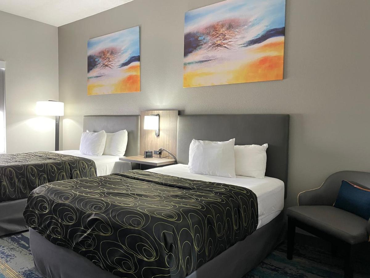 Queen Room with Two Queen Beds - Mobility Access/Non-Smoking at La Quinta Inn & Suites by Wyndham Tampa Central