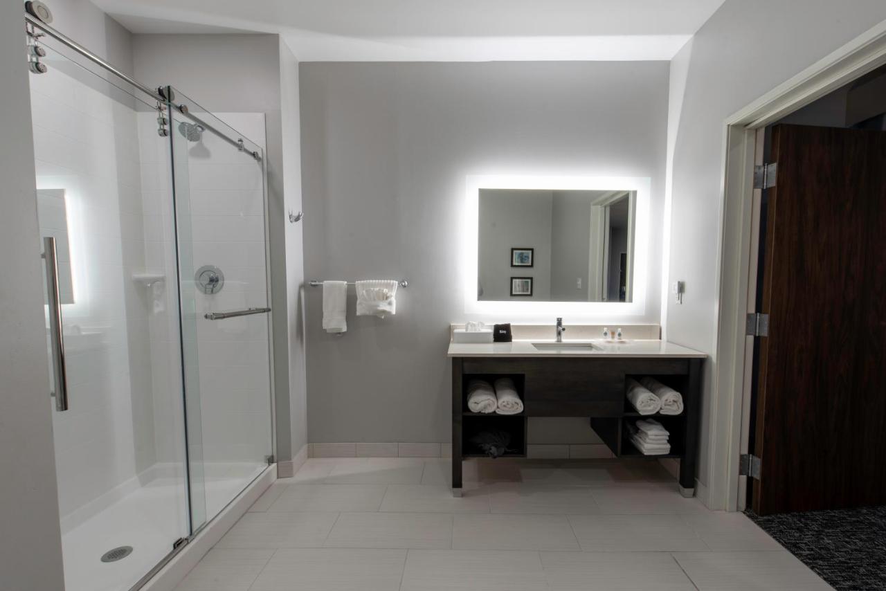 Executive King Suite - Non-Smoking at Comfort Suites Greenville Airport