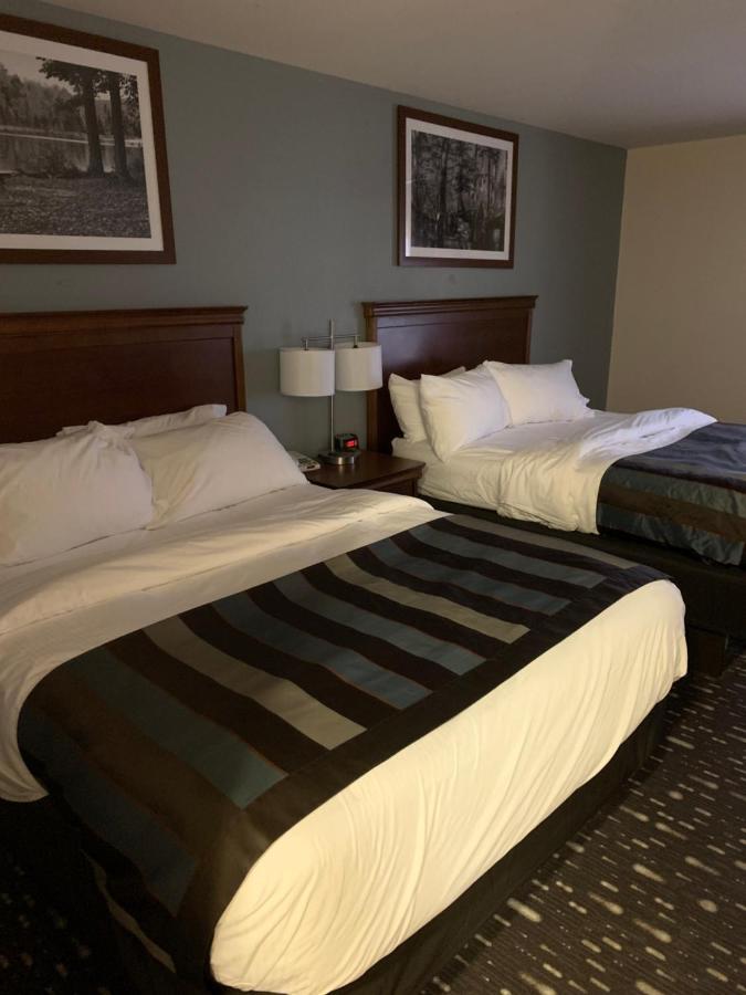 1 King Bed, Studio Superior Suite, Non-Smoking at Wingate by Wyndham Brighton