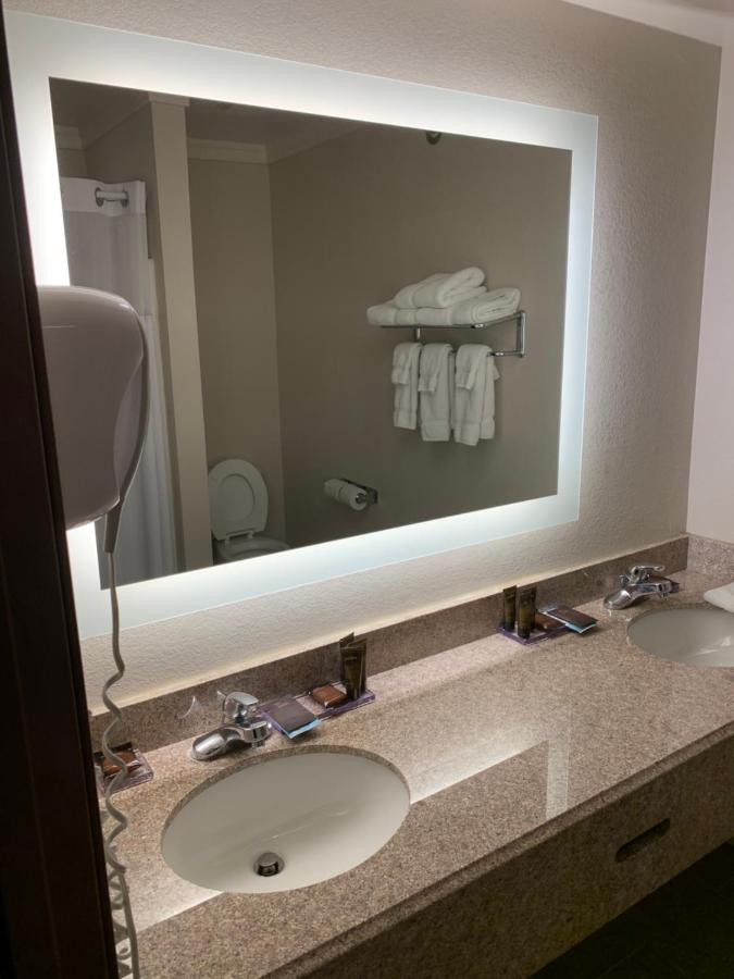 Presidential Suite - Non-Smoking at Wingate by Wyndham Brighton