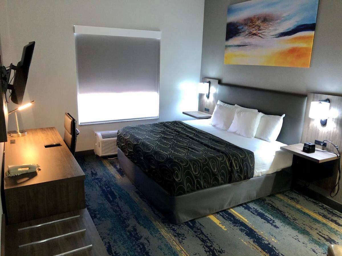 Junior King Suite - Non-Smoking at La Quinta Inn & Suites by Wyndham Tampa Central