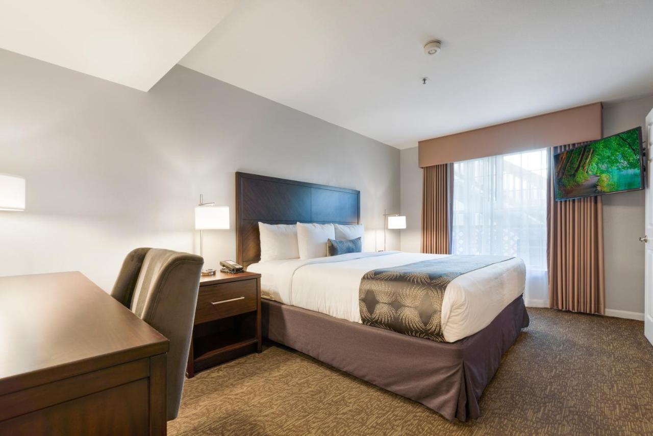 One Bedroom Suite - Kitchenette at Chase Suites Hotel Brea-Fullerton