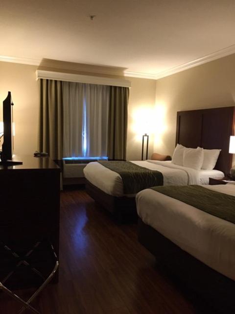 Queen Room with Two Queen Beds - Accessible/Non-Smoking at Comfort Inn Early Brownwood