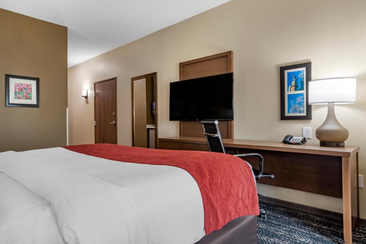 King Room with Roll-In Shower - Accessible/Non-Smoking at Comfort Inn & Suites Downtown near University