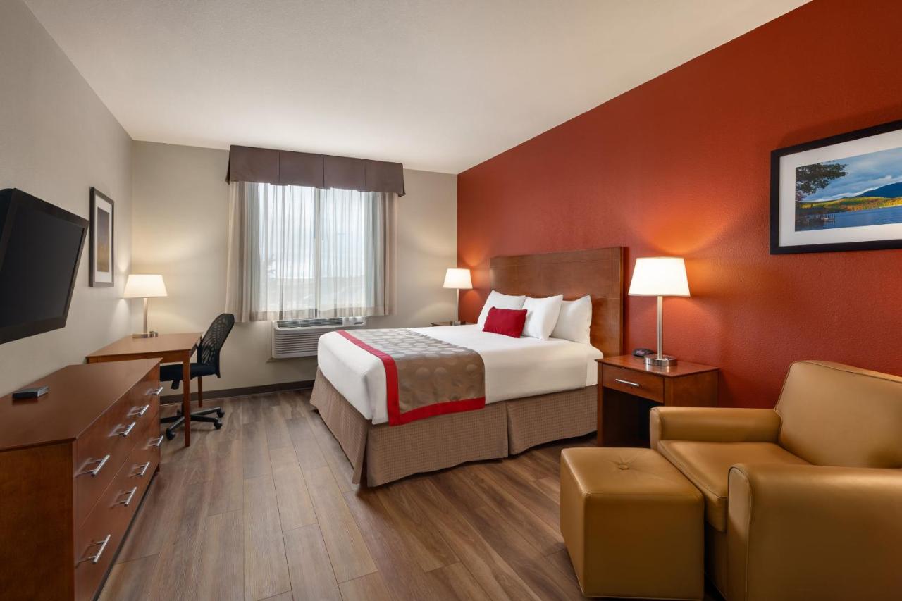 Pet Friendly King Room - Non-Smoking at Bakken Airport XWA Hotel & Studios
