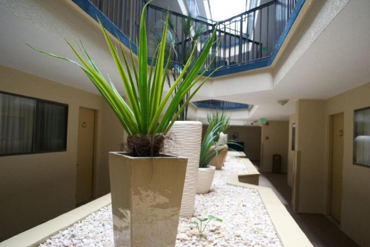 | Brighton Suites Hotel