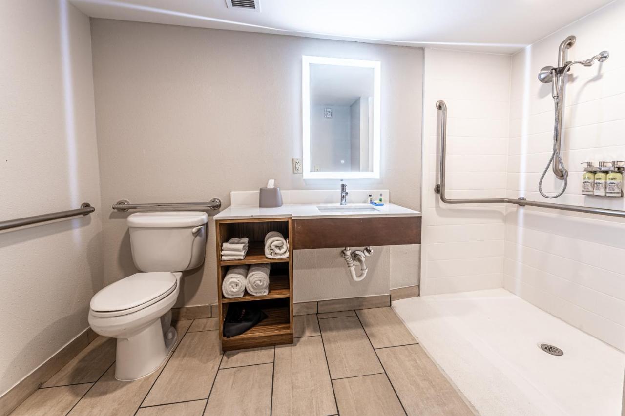 King Room with Roll-In Shower - Disability Access at Holiday Inn Express Indianapolis South by IHG