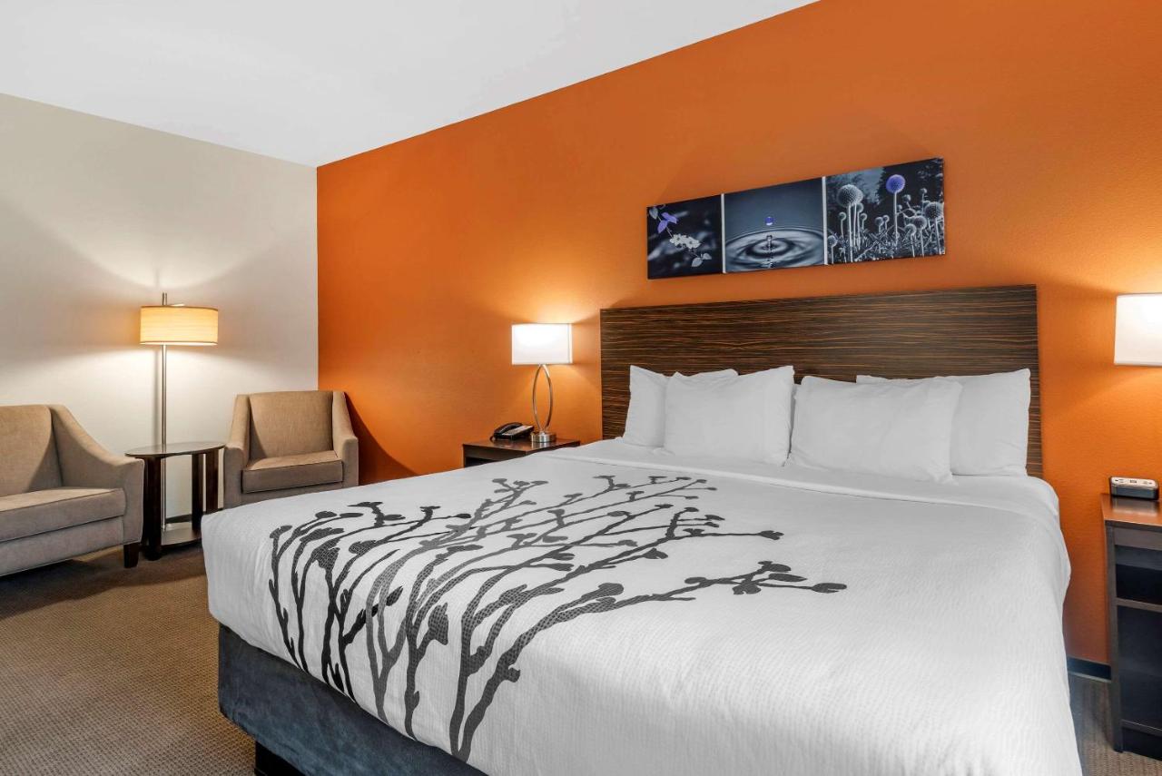 King Room - Non-Smoking at Sleep Inn & Suites Moab near Arches National Park